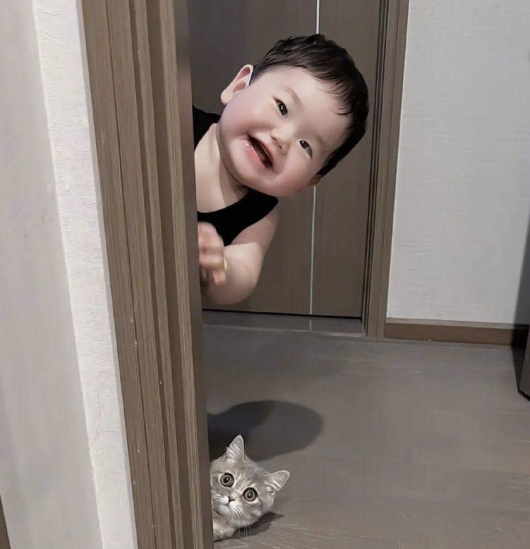 #猫猫#猫猫