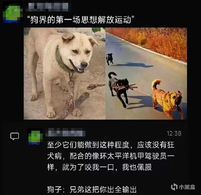 开启了合作模式🌚开启了合作模式🌚