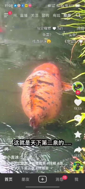 好家伙，鱼中良子😧