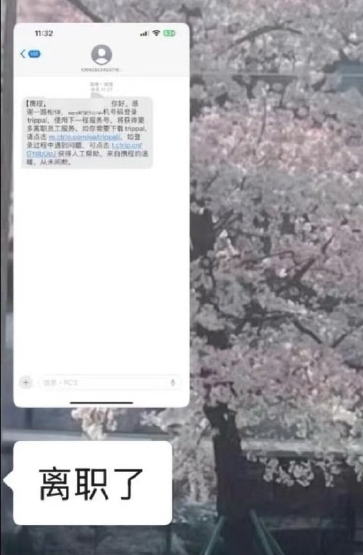 据传携程误发全员离职信息😧据传携程误发全员离职信息😧