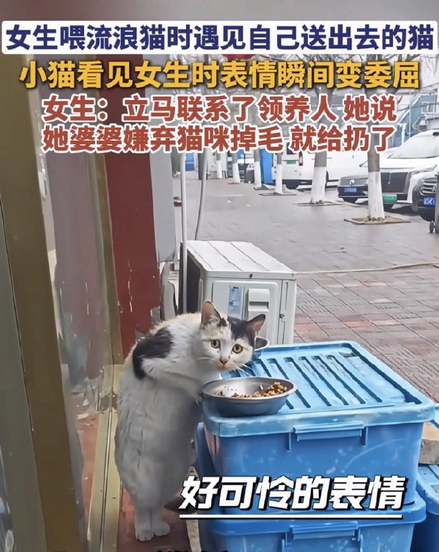 妈…妈？