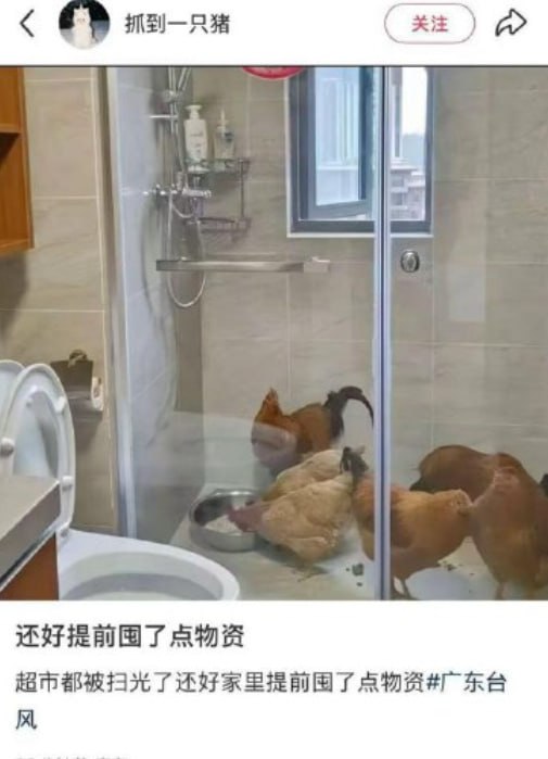 鸡有鸡味