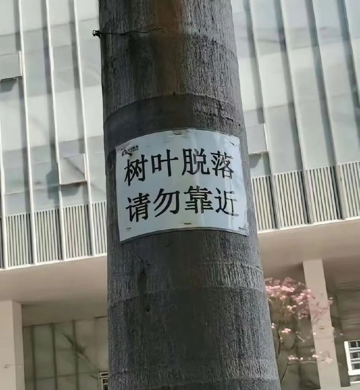 树叶…😨树叶…😨