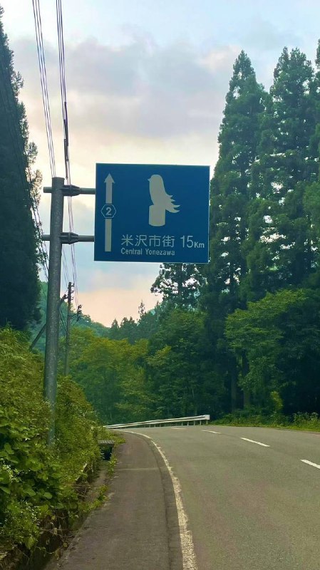 我超，小蓝鸟！