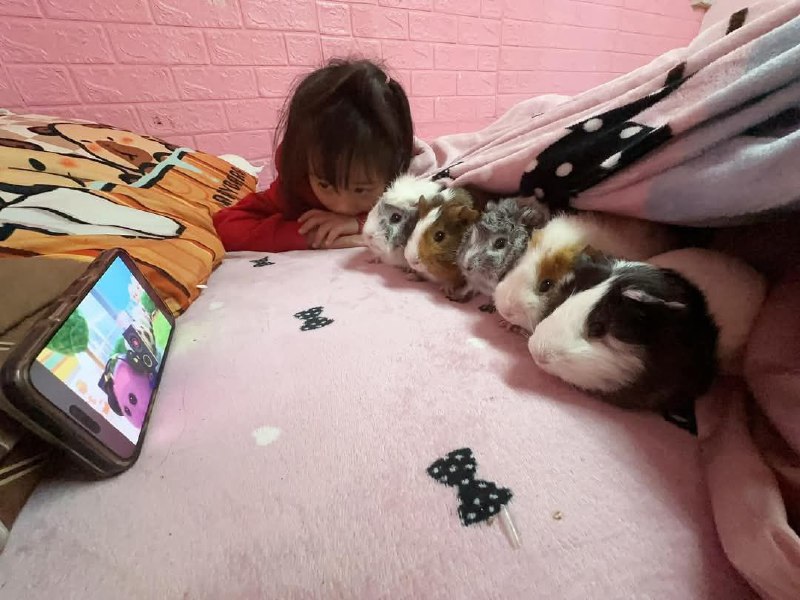 #鼠鼠#鼠鼠