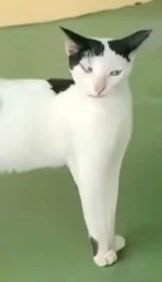 😂😂