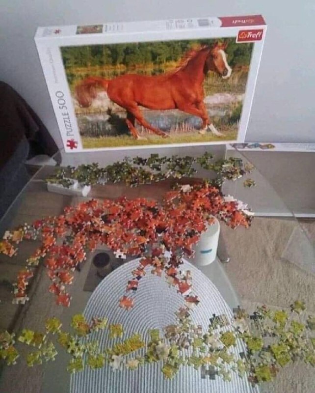 完成！