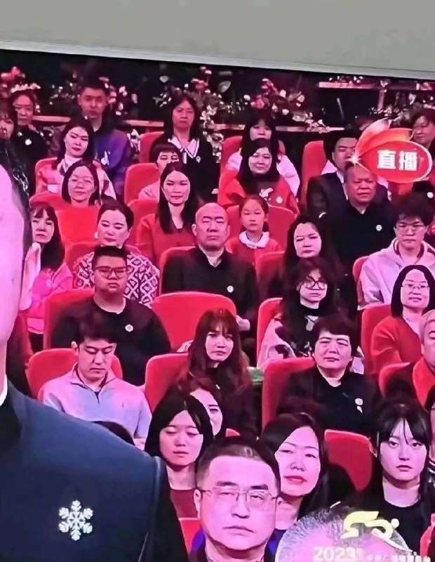 春晚真好看