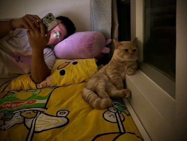 #猫猫
