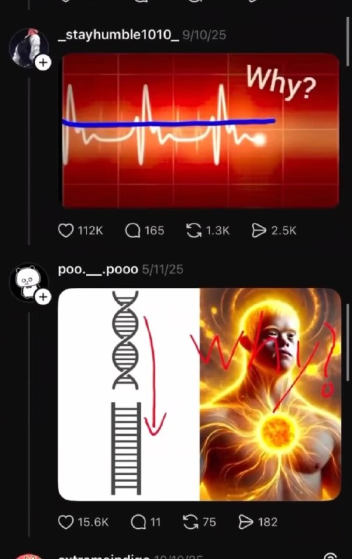 why？why？