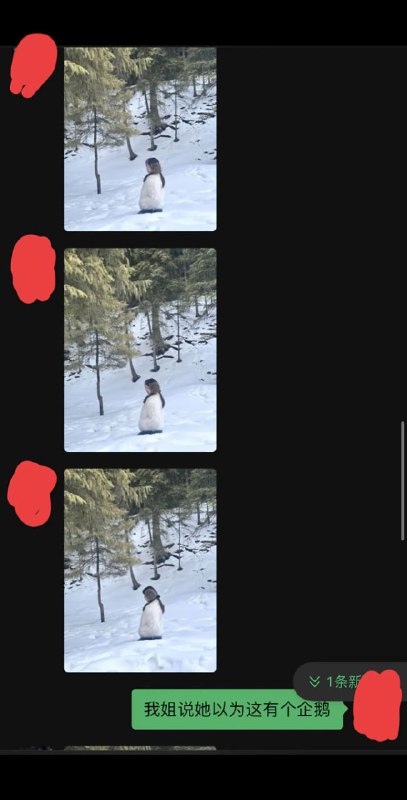 摄影天才😅摄影天才😅