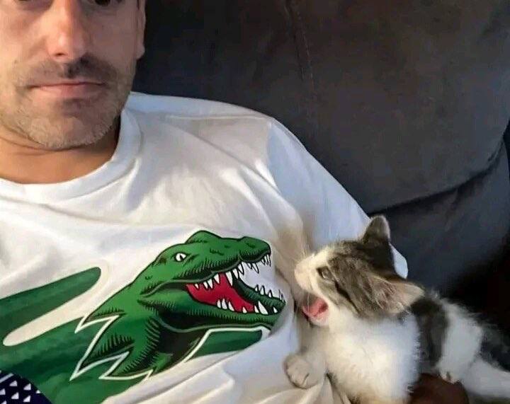 #猫猫