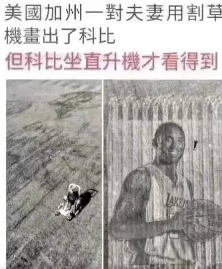 艹