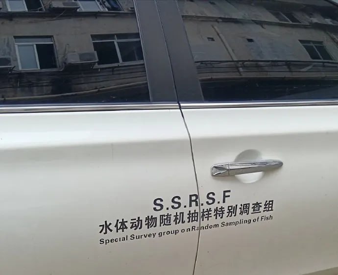 翻译