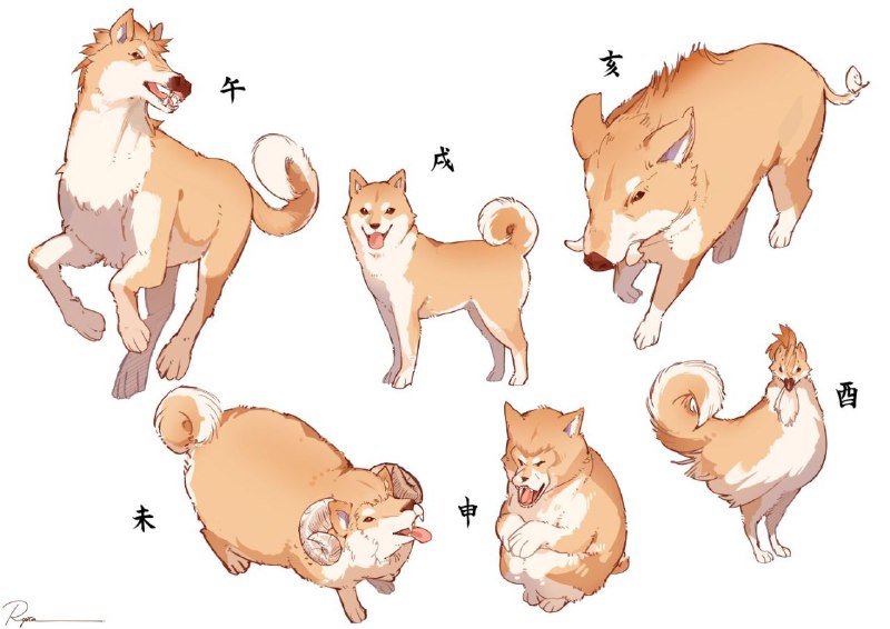 #狗狗 十二生肖..天犬#狗狗 十二生肖..天犬