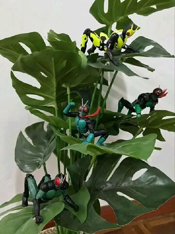 ？？？