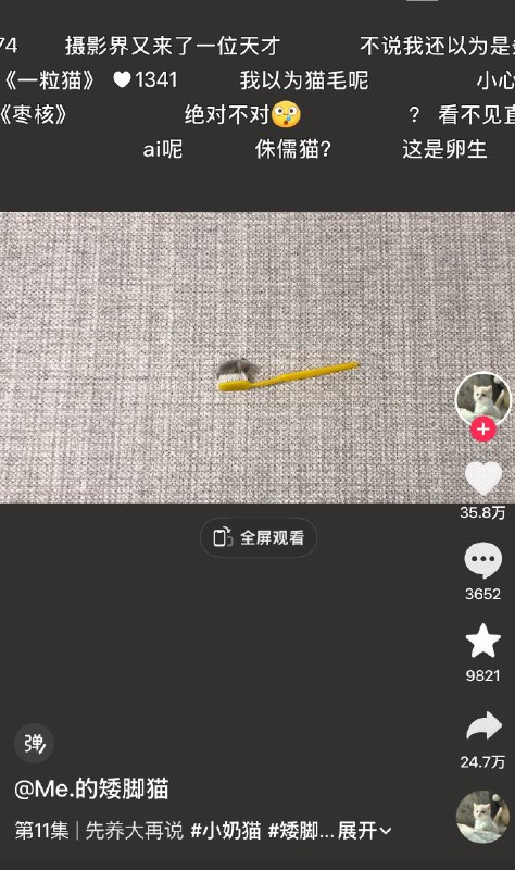摄影奇才摄影奇才