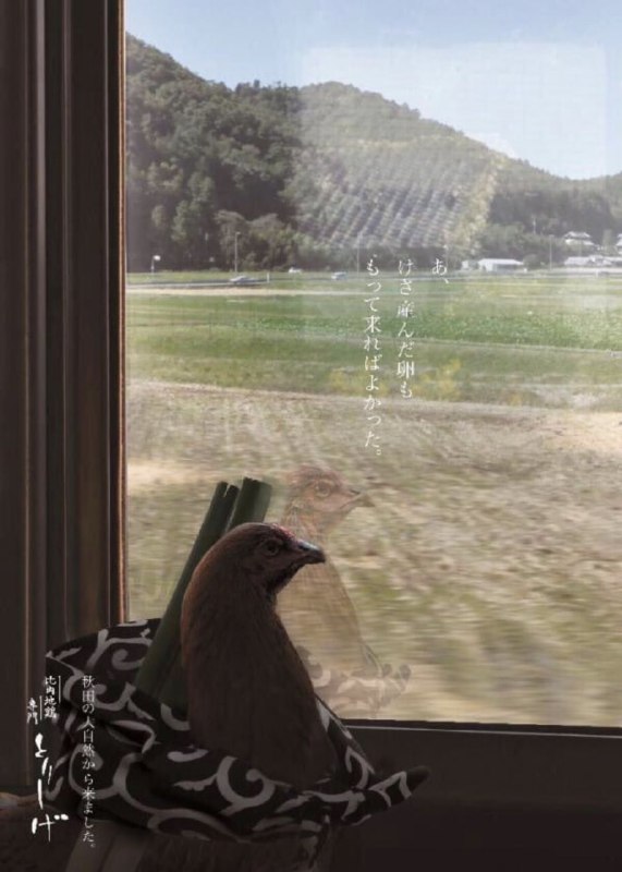 经典回顾经典回顾