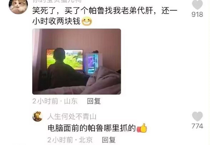 真实的帕鲁
