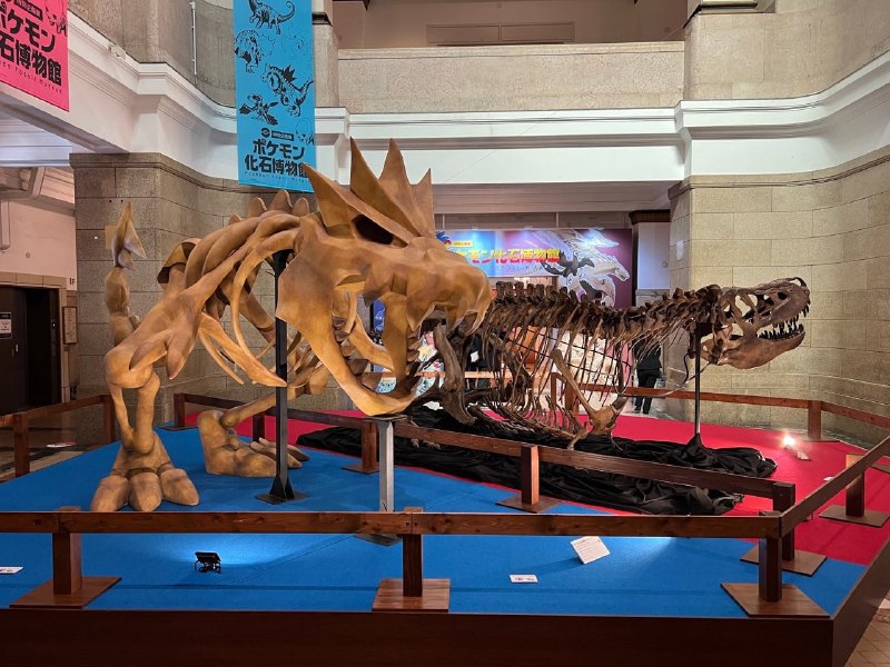 岛国将宝可梦标本搬进国立科学博物馆，和古生物标本形成一个对比……宝可梦的骨骼也好可爱！岛国将宝可梦标本搬进国立科学博物馆，和古生物标本形成一个对比……宝可梦的骨骼也好可爱！