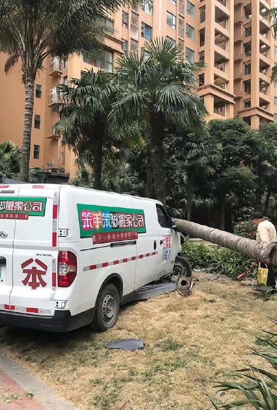 毫无虚假宣传毫无虚假宣传