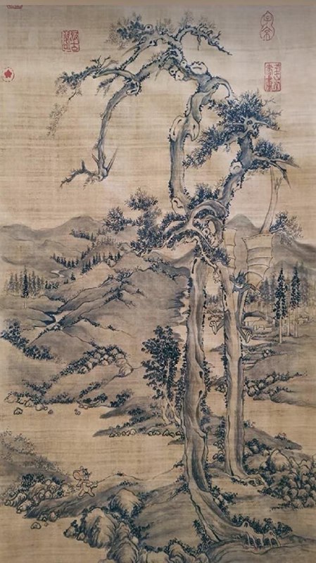 我超，汤姆！