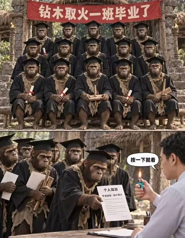 大学现状😅