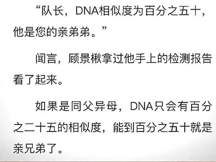 文盲写小说belike