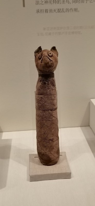 郑州博物馆，大河文明展