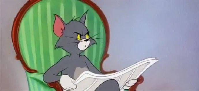 #猫猫#猫猫