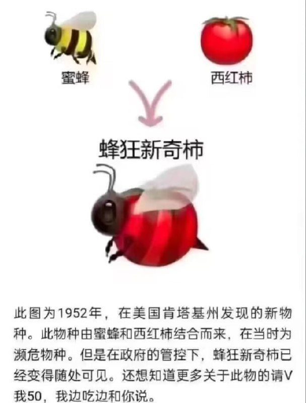 懂？