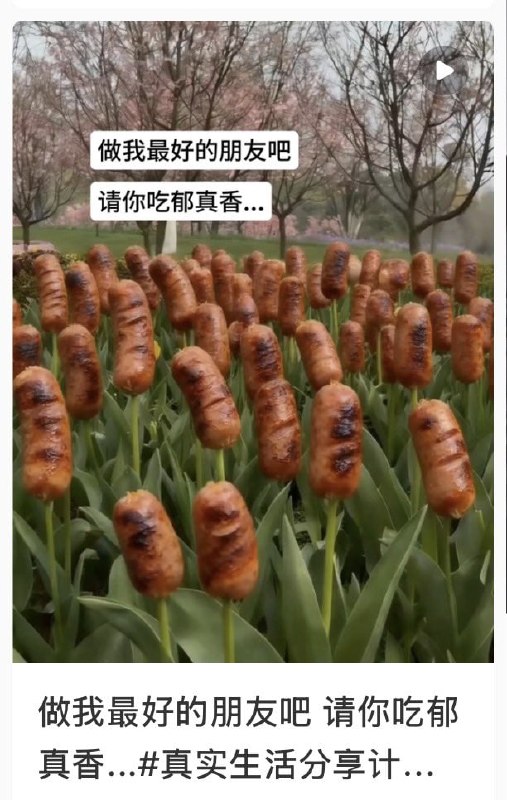 这好像是真的😮