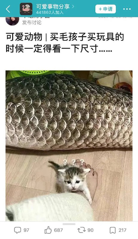 心有鱼而力不足心有鱼而力不足