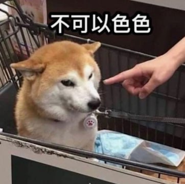 表情包“不可以色色”原型柴犬去世表情包“不可以色色”的原型柴犬 ポン 去世，享年17岁