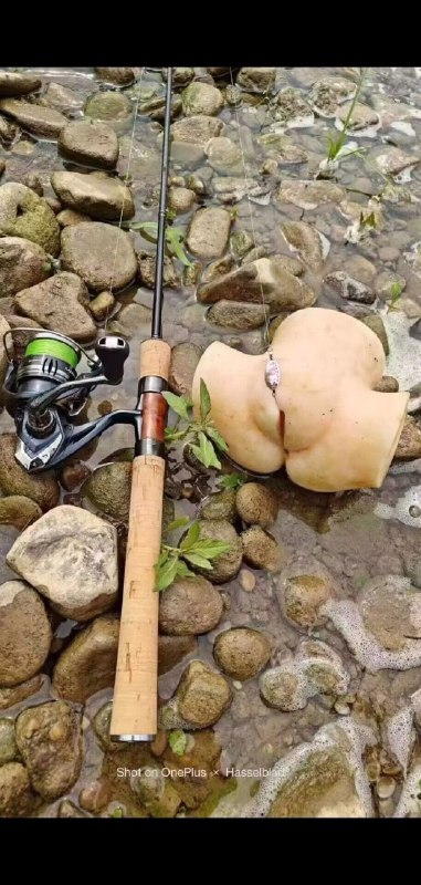 🎣钓鱼佬什么都能钓