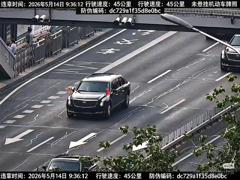 懂王你违章了😑