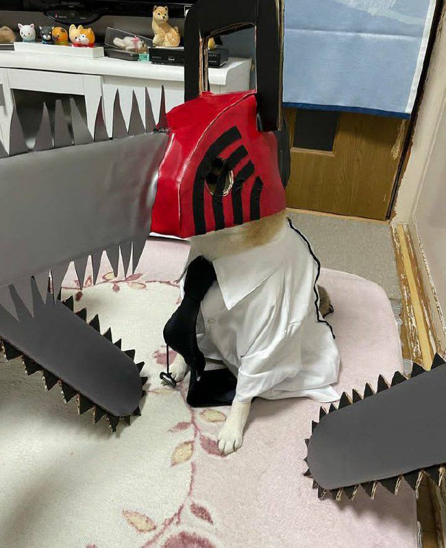 #狗狗 #Cosplay#狗狗 #Cosplay