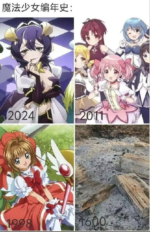 🌚