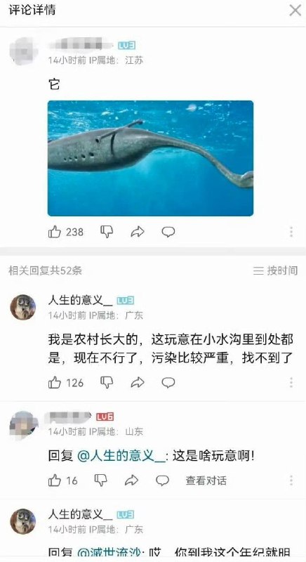 老资历