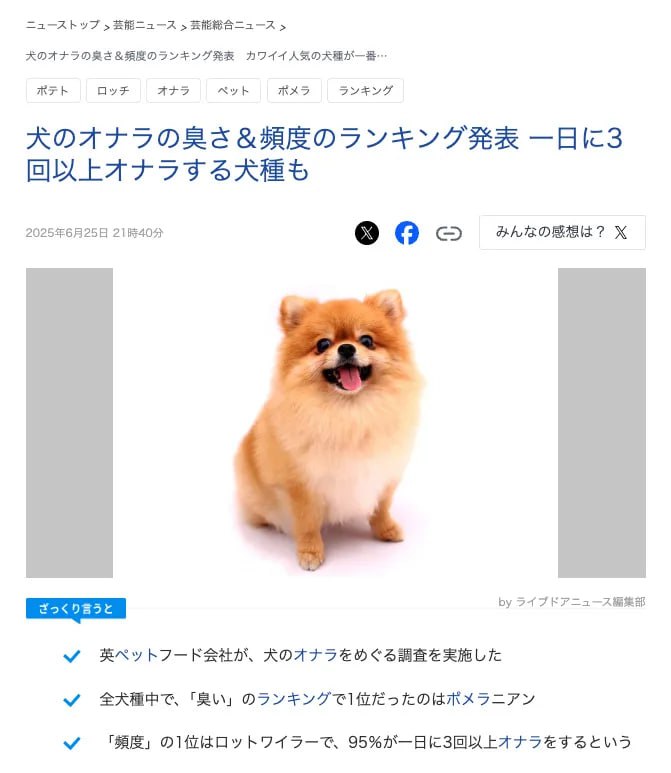 博美是放屁最臭的狗子？据英国宠物食品公司Burns Pet Nutrition调查显示，博美犬（ Pomeranian）荣登