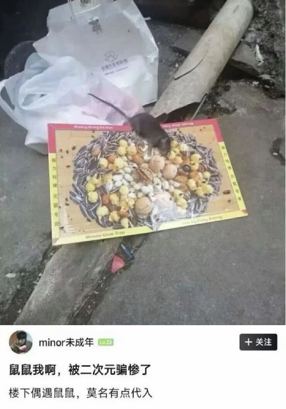 🌚