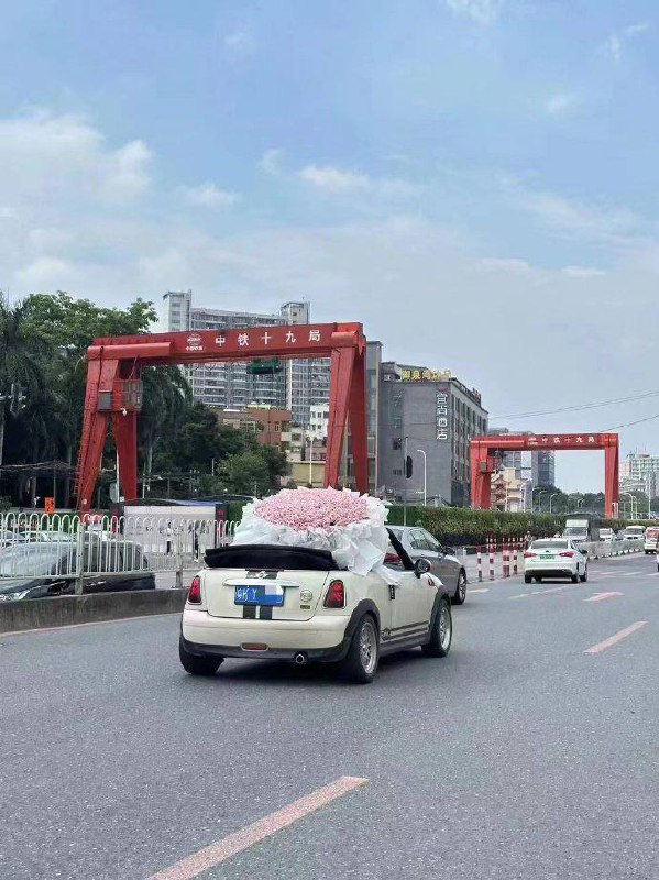情人节快乐情人节快乐
