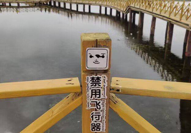 龙