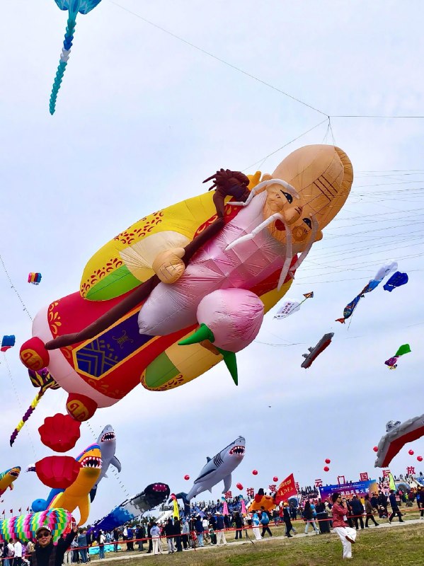2026潍坊风筝节群英荟萃2026潍坊风筝节群英荟萃