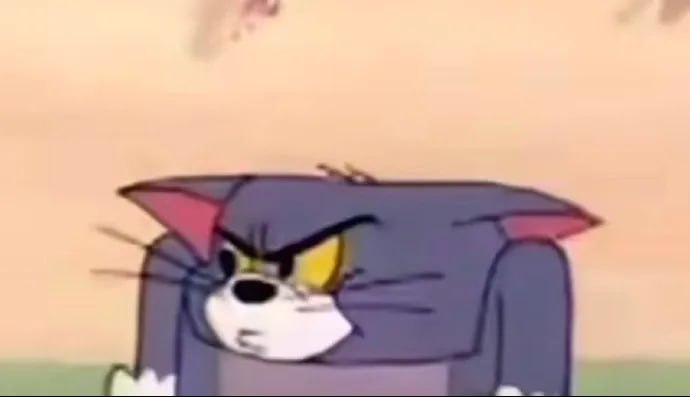 #猫猫#猫猫