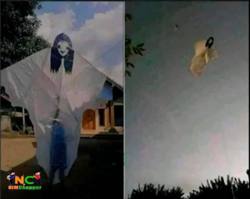 什么阴间风筝😯