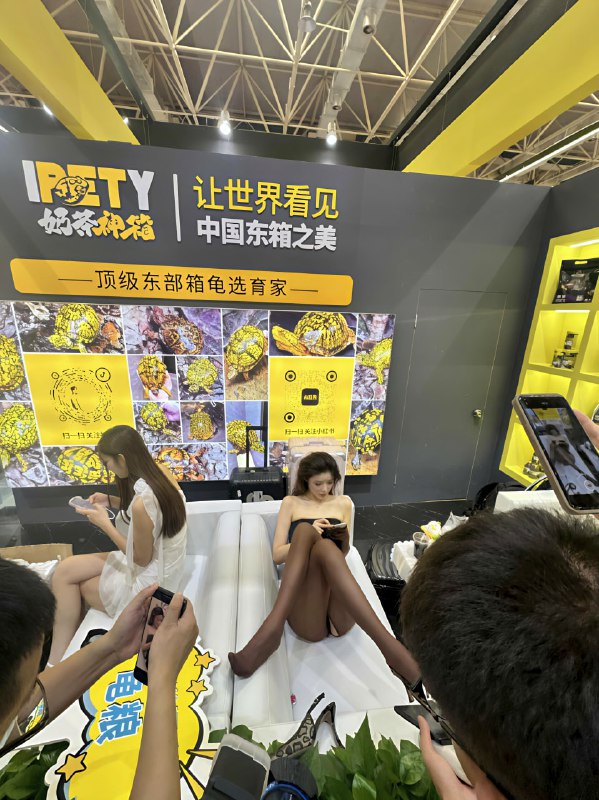 顺德龟展被指擦边近日，在广东佛山顺德世界名龟展上出现了一些网红的身影，有网友吐槽现场有网红表演擦边，让人反感