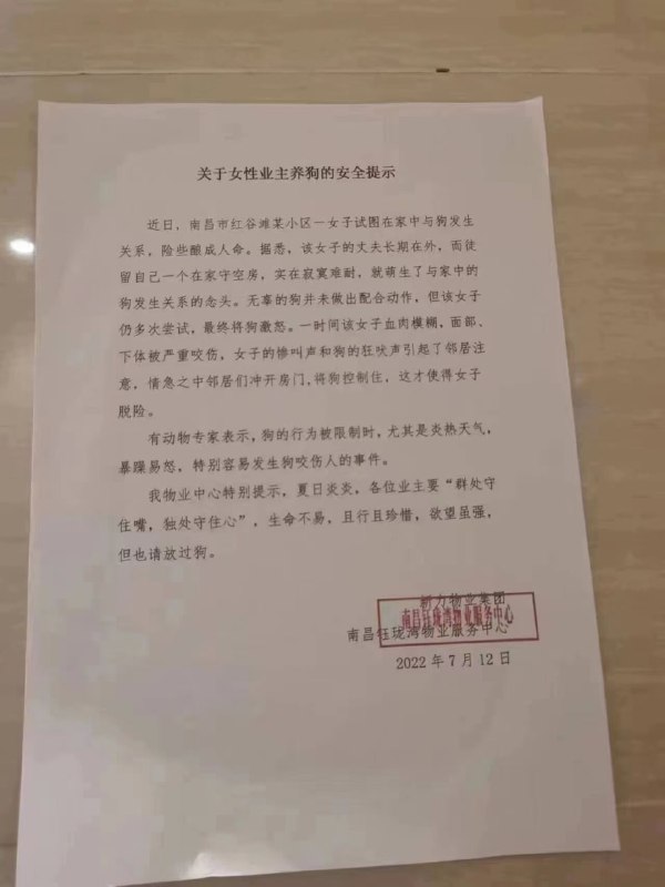 天气炎热，放过狗狗
