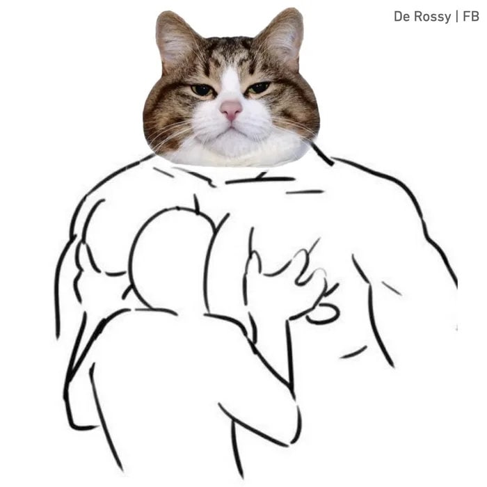 “给这个猫猫头画个身体”#猫猫“给这个猫猫头画个身体”#猫猫