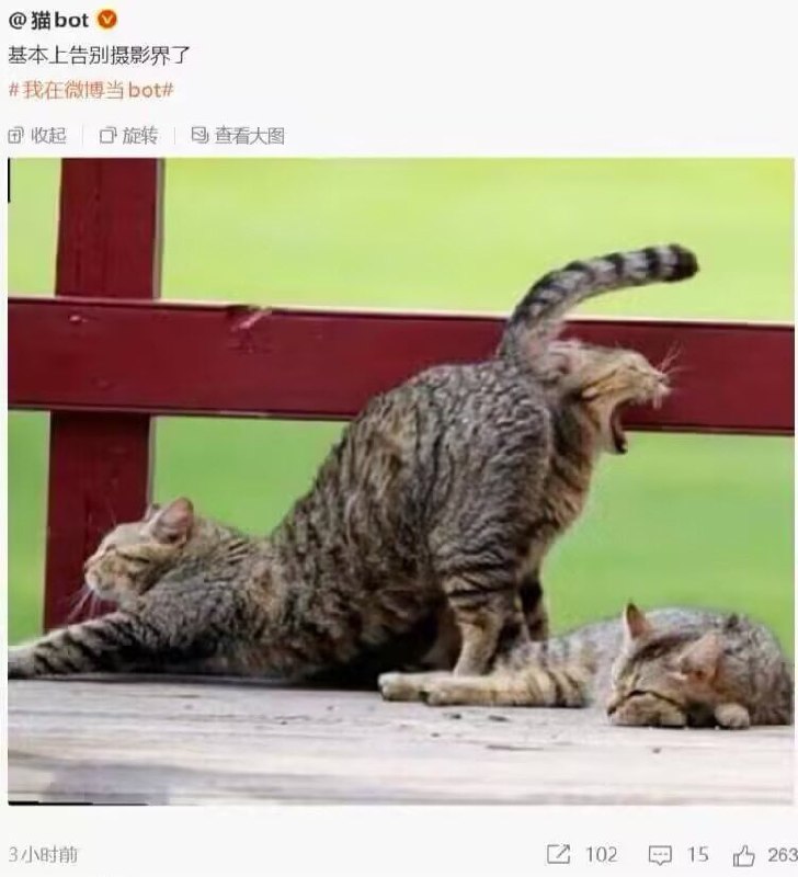 摄影鬼才